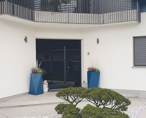 vhodna-vrata-s-steklom Front door with glass